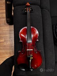 Violino