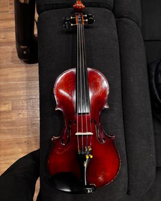 Violino