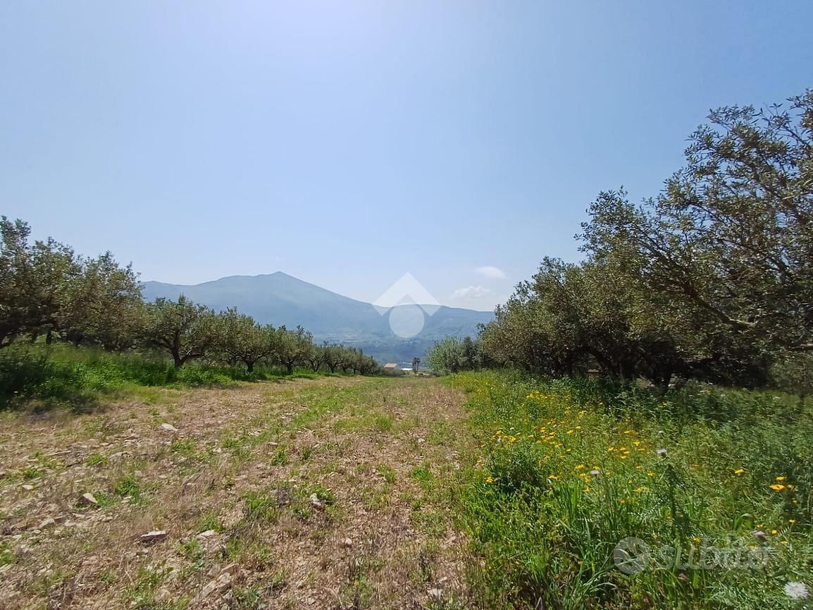 TER. AGRICOLO A CASTELLAMMARE DEL GOLFO - Vista 3