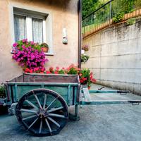 Carretto antico da giardino 