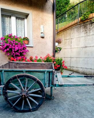 Carretto antico da giardino 