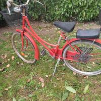 bici con cestello e seggiolino bimbi dietro