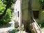 Immagine 7