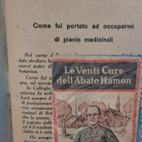 Le venti cure dell' Abate Hamon
