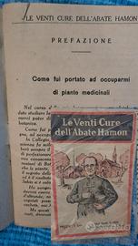 Le venti cure dell' Abate Hamon