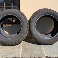 Gomme invernali Ceat Winter Drive 225/55 R17 101V