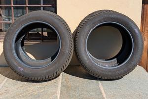 Gomme invernali Ceat Winter Drive 225/55 R17 101V