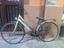 Immagine 1