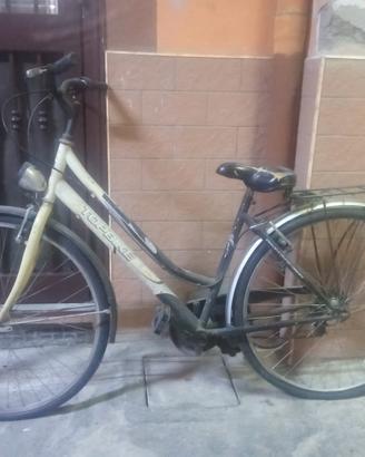 bici da donna 