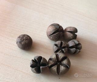 Arredo acquario terrario - baccelli wallachii