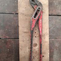 Chiave pappagallo ( cagnetta )