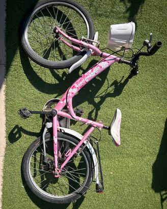 Bici Bimba Cobran Roses