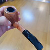pipa anatra dalle uova d oro