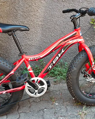 Bicicletta FAT BIKE 20, freni a disco 