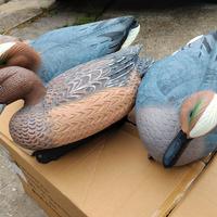 stampi fischione magnum 