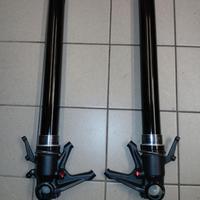 Steli forcella Ducati panigale