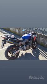 Honda CB600F Hornet