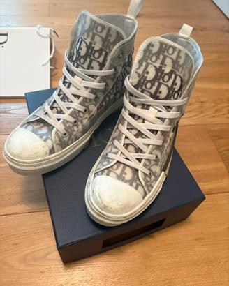 dior b23