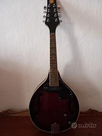 Mandolino elettrificato