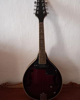 Mandolino elettrificato
