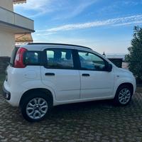 FIAT Panda NEOPAENTATI TRATTABILE