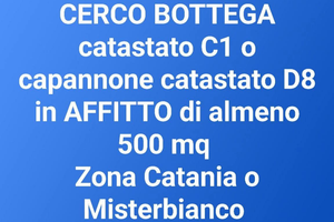 BOTTEGA o CAPANNONE