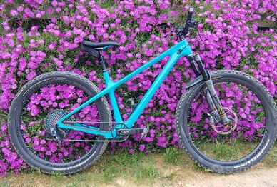 Yeti ARC XX1 AXS full carbon