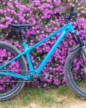 Yeti ARC XX1 AXS full carbon