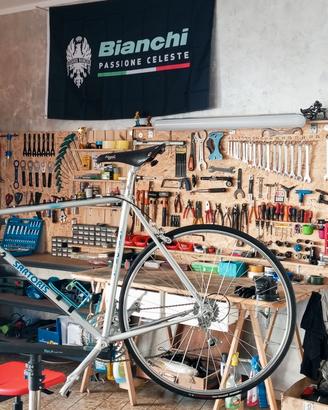 bici da corsa campagnolo