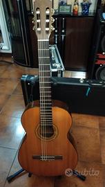 Chitarra classica Musima