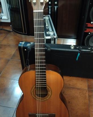 Chitarra classica Musima