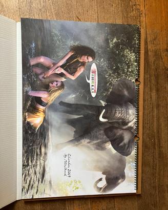Calendario Pirelli 2009, Peter Beard da collezione