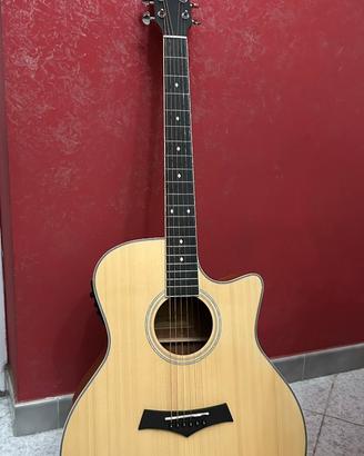 Arrow Gold Series-Chitarra acustica elettrificata