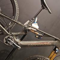 Cannondale Moterra SL1