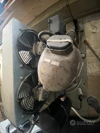 Compressori frigo