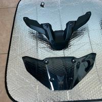 Cupolino mt 09 2024