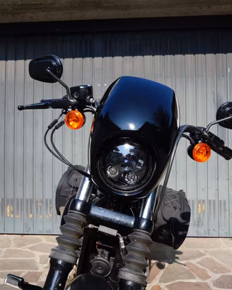Harley Davidson Iron 883 XL 2014 depotenziata A2