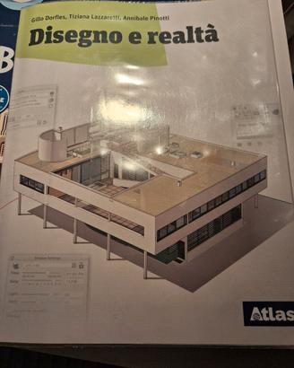 Disegno e realtà  