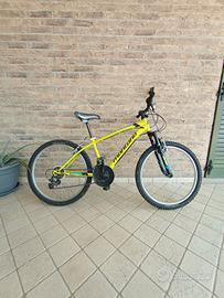 bici montana