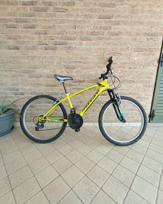 bici montana