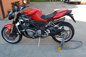 MV Agusta Brutale Perfetta
