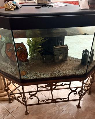Acquario completo
