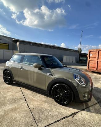 mini One Busines