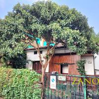 Casa indipendente - Gorizia