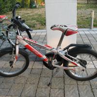 Bicicletta bambino 14