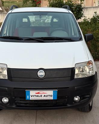 Fiat Panda 1.2 Benzina 4x4