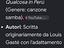 Immagine 5
