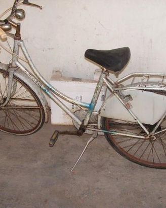 bici da donna tipo holland