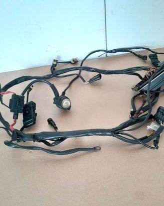 Cablaggio elettrico Ducati Monster 600 750 900