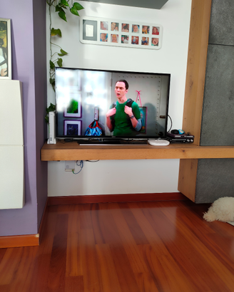 Parete attrezzata Mobilgam